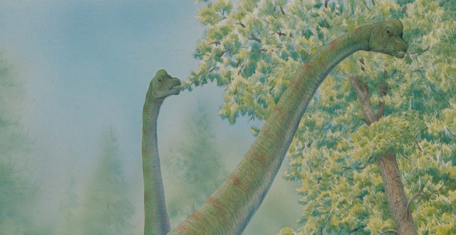 What was the Longest Dinosaur?